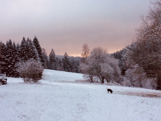 Winterlandschaft