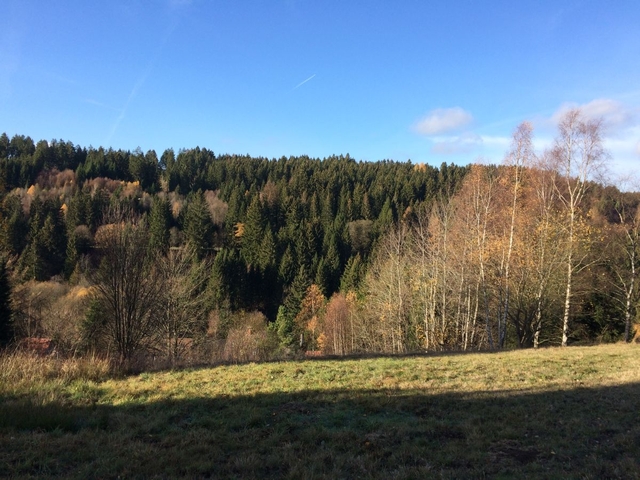 In der Nähe des Gartens